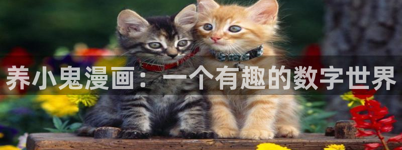 韩漫网站黄色：养小鬼漫画：一个有趣的数字世界