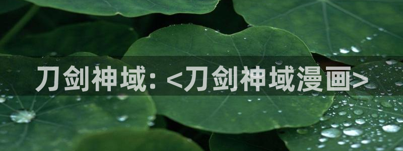 歪歪漫画韩漫网站：刀剑神域: <刀剑神域漫画>