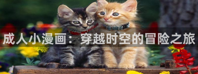 美丽新世界韩漫免费阅读漫画：成人小漫画：穿越时空的冒险之旅