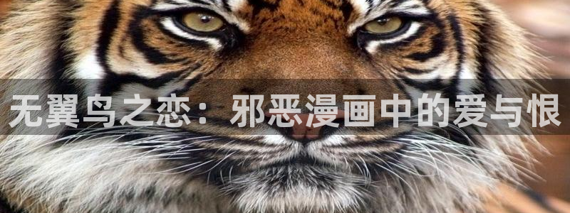 韩漫网址无遮挡：无翼鸟之恋：邪恶漫画中的爱与恨