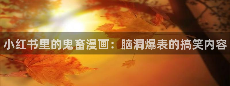 免费看韩漫的平台：小红书里的鬼畜漫画：脑洞爆表的搞笑内容