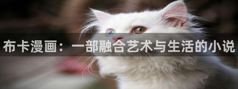 韩漫双男主漫画免费阅读看漫画下拉：布卡漫画：一部融合艺术与生活的小说