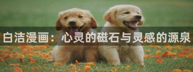 韩漫官网虚空漫画网：白洁漫画：心灵的磁石与灵感的源泉