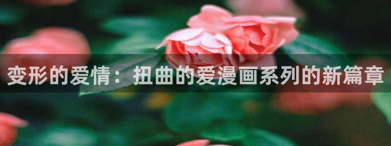 看韩漫去哪里：变形的爱情：扭曲的爱漫画系列的新篇章