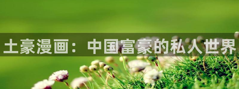 韩漫可以在哪免费观看呢：土豪漫画：中国富豪的私人世界