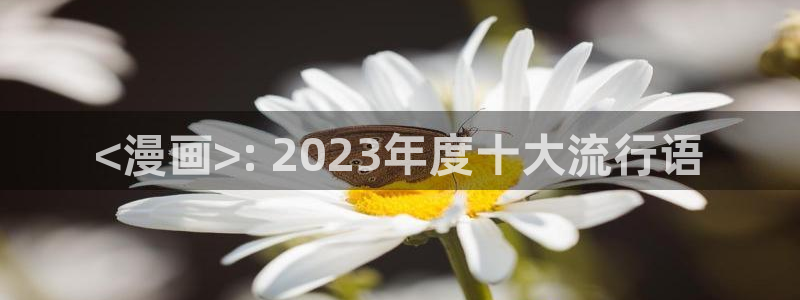 韩漫漫画网：<漫画>: 2023年度十大流行语