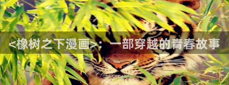 韩漫画免费阅读全文下拉式：<橡树之下漫画>：一部穿越的青春故事