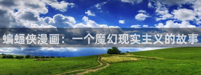韩漫真人漫画免费全集观看：蝙蝠侠漫画：一个魔幻现实主义的故事