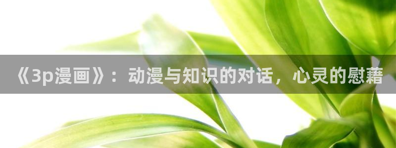 韩漫漫画男：《3p漫画》：动漫与知识的对话，心灵的慰藉