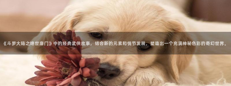 韩漫短漫推荐：《斗罗大陆之绝世唐门》中的经典武侠故事，结合新的元素和情节发展，塑造出一个充满神秘色彩的奇幻世界。