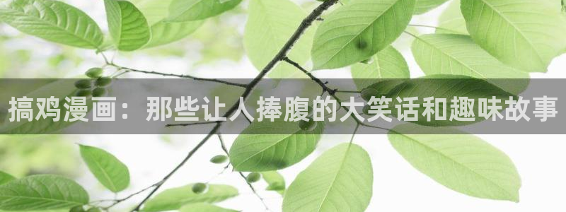 韩漫之家漫画：搞鸡漫画：那些让人捧腹的大笑话和趣味故事